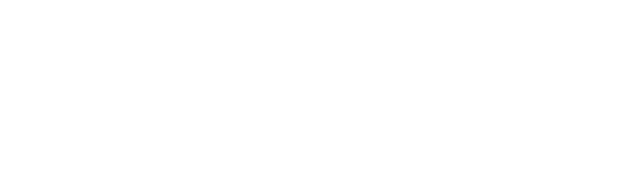 Carbon Gun Company Logo